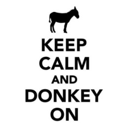 Keep Calm and Donkey On Stickers – Donkey Decals (2-Pack)