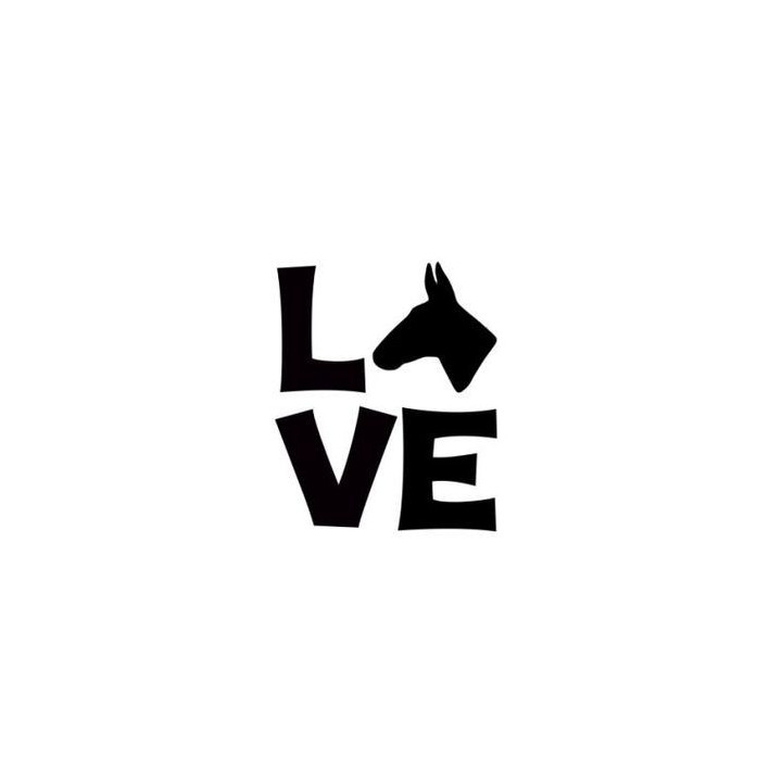 Donkey Love Stickers – Donkey Owner Decals (2-Pack)