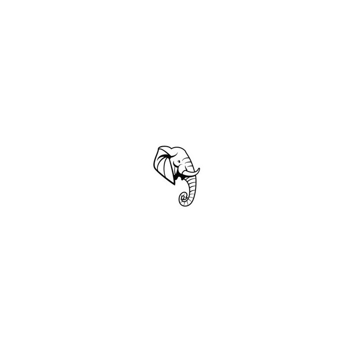 Elephant Vinyl Decal Sticker V110 - DecalsHouse