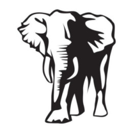 Elephant Vinyl Decal Sticker V115 - DecalsHouse