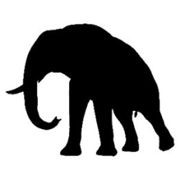Elephant Vinyl Decal Sticker V20 - DecalsHouse