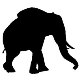 Elephant Vinyl Decal Sticker V26 - DecalsHouse