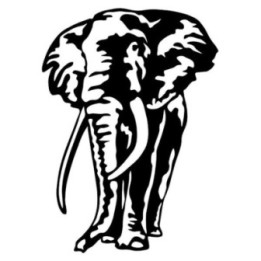 Elephant Vinyl Decal Sticker V55 - DecalsHouse