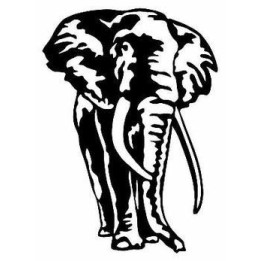 Elephant Vinyl Decal Sticker V57 - DecalsHouse