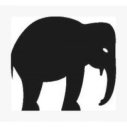 Elephant Vinyl Decal Sticker V74 - DecalsHouse