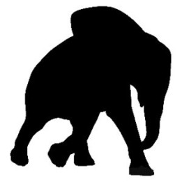 Elephant Vinyl Decal Sticker V8 - DecalsHouse