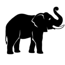 Elephant Vinyl Decal Sticker V88 - DecalsHouse