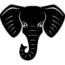 Elephant Vinyl Decal Sticker V93 - DecalsHouse