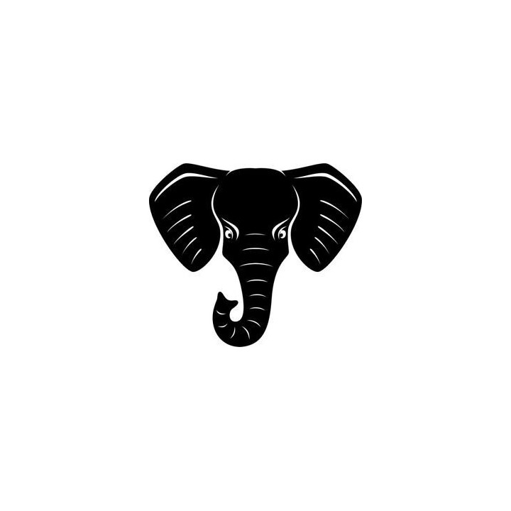 Elephant Vinyl Decal Sticker V93 - DecalsHouse