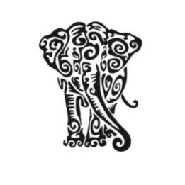 Elephant Vinyl Decal Sticker V95 - DecalsHouse