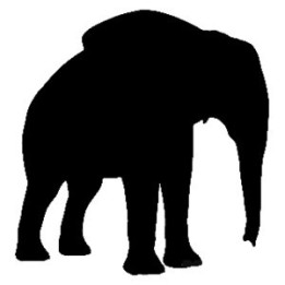 Elephant Vinyl Decal Sticker - DecalsHouse