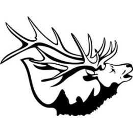 Elk Vinyl Decal Sticker V11 - DecalsHouse