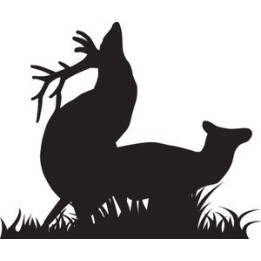 Elk Vinyl Decal Sticker V20 - DecalsHouse