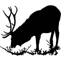 Elk Vinyl Decal Sticker V4 - DecalsHouse