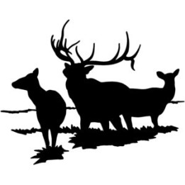 Elk Vinyl Decal Sticker V7 - DecalsHouse
