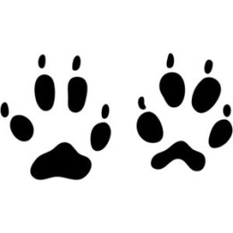 Fox Prints Vinyl Decal Sticker V2 - DecalsHouse