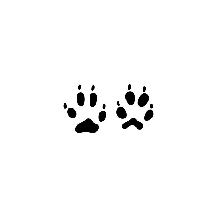 Fox Prints Vinyl Decal Sticker V2 - DecalsHouse