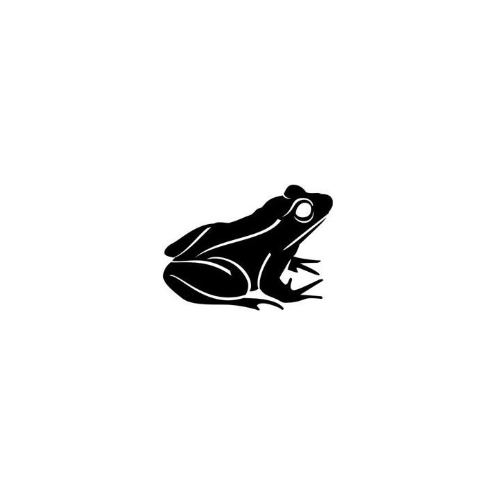 Frog Vinyl Decal Sticker V10 - DecalsHouse