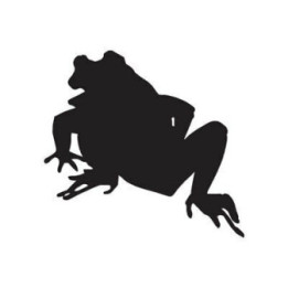 Frog Vinyl Decal Sticker V102 - DecalsHouse