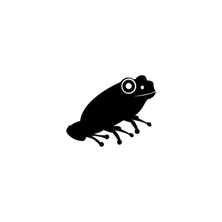 Frog Vinyl Decal Sticker V105 - DecalsHouse