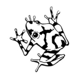 Frog Vinyl Decal Sticker V16 - DecalsHouse