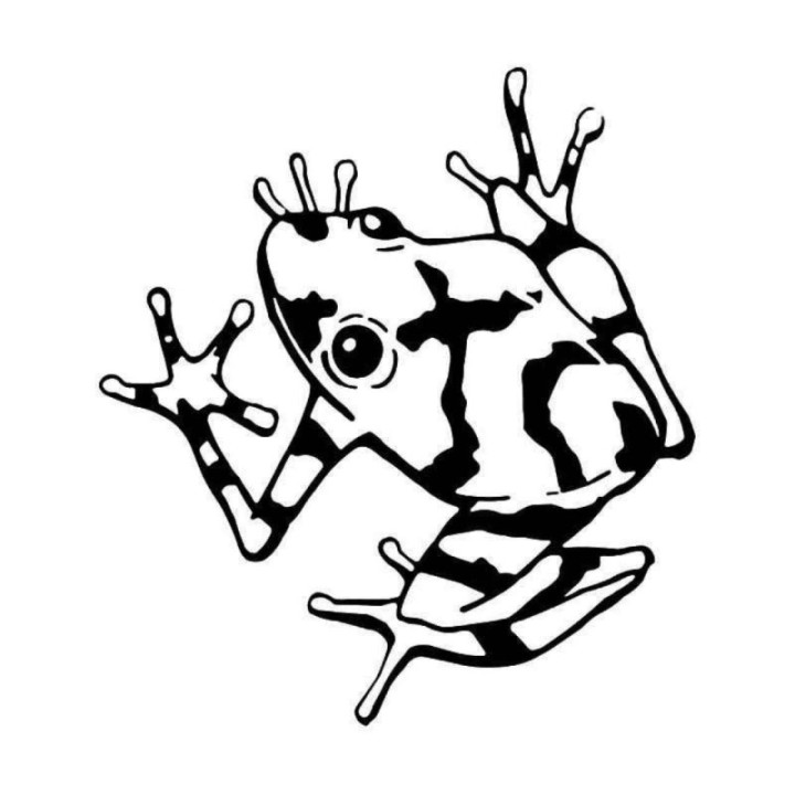 Frog Vinyl Decal Sticker V16 - DecalsHouse