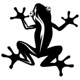 Frog Vinyl Decal Sticker V21 - DecalsHouse