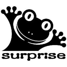 Frog Vinyl Decal Sticker V24 - DecalsHouse