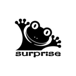 Frog Vinyl Decal Sticker V27 - DecalsHouse