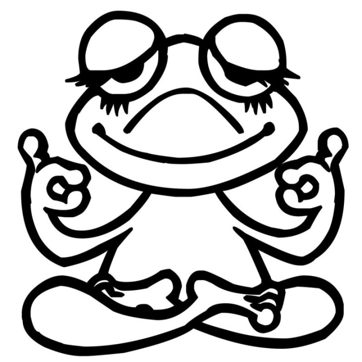 Frog Vinyl Decal Sticker V28 - DecalsHouse
