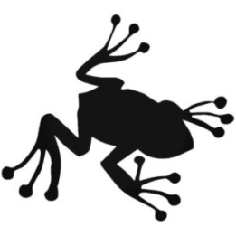 Frog Vinyl Decal Sticker V33 - DecalsHouse