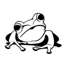 Frog Vinyl Decal Sticker V37 - DecalsHouse