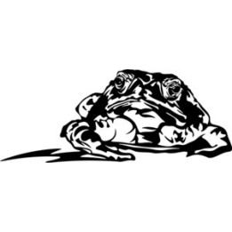 Frog Vinyl Decal Sticker V4 - DecalsHouse