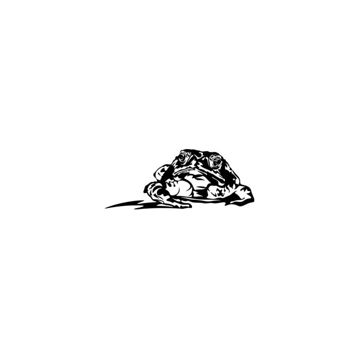 Frog Vinyl Decal Sticker V4 - DecalsHouse