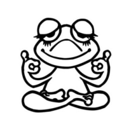 Frog Vinyl Decal Sticker V40 - DecalsHouse
