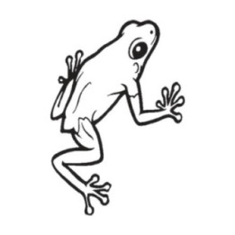 Frog Vinyl Decal Sticker V49 - DecalsHouse