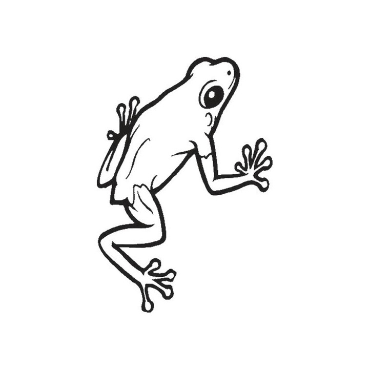 Frog Vinyl Decal Sticker V49 - DecalsHouse