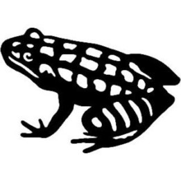 Frog Vinyl Decal Sticker V5 - DecalsHouse