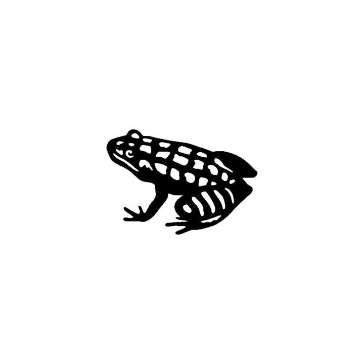 Frog Vinyl Decal Sticker V5 - DecalsHouse