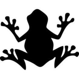 Frog Vinyl Decal Sticker V55 - DecalsHouse