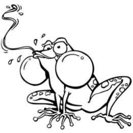Frog Vinyl Decal Sticker V62 - DecalsHouse