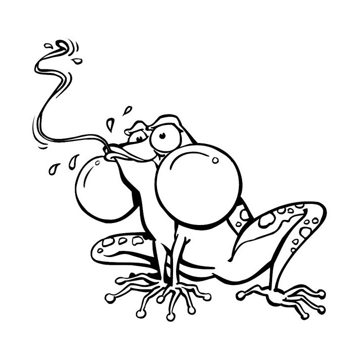 Frog Vinyl Decal Sticker V62 - DecalsHouse