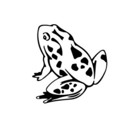 Frog Vinyl Decal Sticker V69 - DecalsHouse
