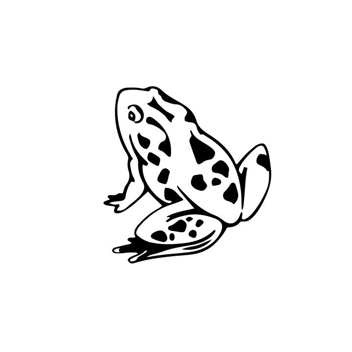 Frog Vinyl Decal Sticker V69 - DecalsHouse