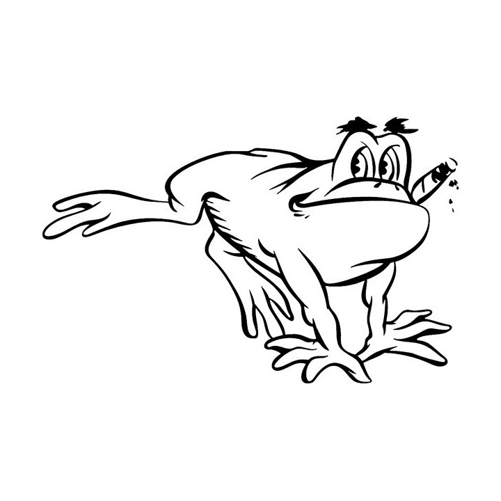 Frog Vinyl Decal Sticker V72 - DecalsHouse