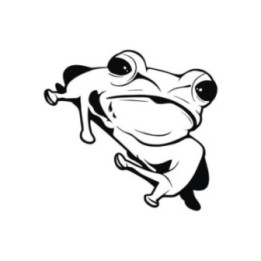 Frog Vinyl Decal Sticker V73 - DecalsHouse