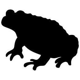 Frog Vinyl Decal Sticker V78 - DecalsHouse