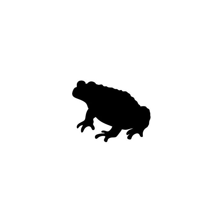 Frog Vinyl Decal Sticker V78 - DecalsHouse