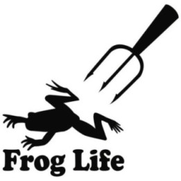 Frog Vinyl Decal Sticker V8 - DecalsHouse