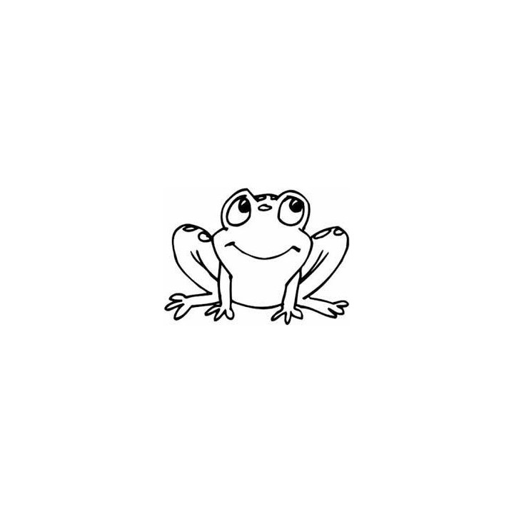 Frog Vinyl Decal Sticker V84 - DecalsHouse
